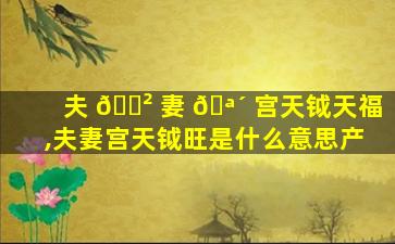 夫 🌲 妻 🪴 宫天钺天福,夫妻宫天钺旺是什么意思产